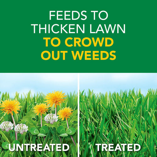 Scotts® Turf Builder® Weed & Feed (15000 sq. ft.)