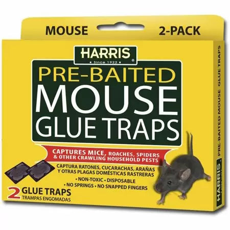 Harris Mouse Glue Traps (4-Pack)