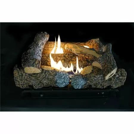 Empire 18 in. Natural Gas Millivolt Fireplace (18)