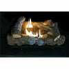 Empire 24 in. Natural Gas Millivolt Fireplace (24)