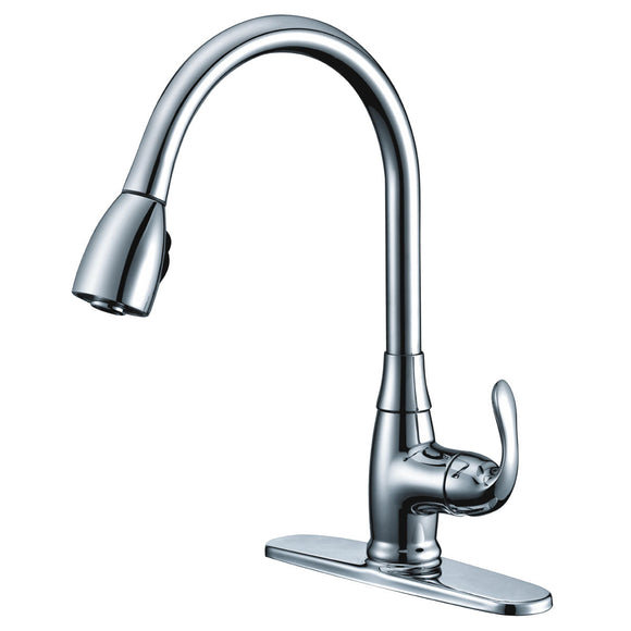 Compass Manufacturing 191-7697 Noble Single Handle Kitchen Faucet (Polished Chrome Finish)