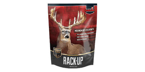 Evolved Rack Up Trophy Class