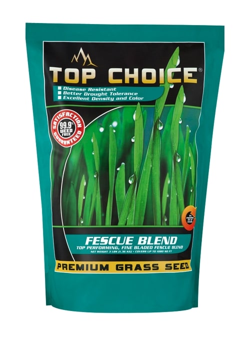 Mountain View Seeds 10 lbs Fescue Blend Grass Seed (10 lbs)