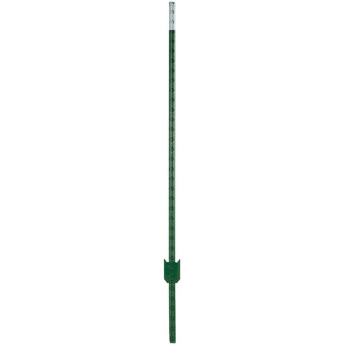 W Silver Inc 8' 1.25 Green Stl T-Post (Pack of 5 ) (8')