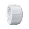 Thrifco Plumbing 8113716 1/2 Inch PVC Threaded Cap SCH 40 (1/2)