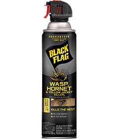 Black Flag Wasp, Hornet & Yellow Jacket Killer2 (Aerosol) (14 oz)