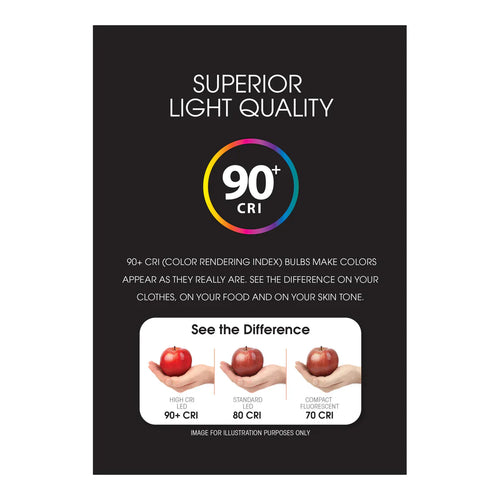Feit Electric 15W (100W Replacement) Daylight (5000K) A19 E26 Base Dimmable Clear LED Bulb