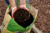 Miracle-Gro® Raised Bed Soil