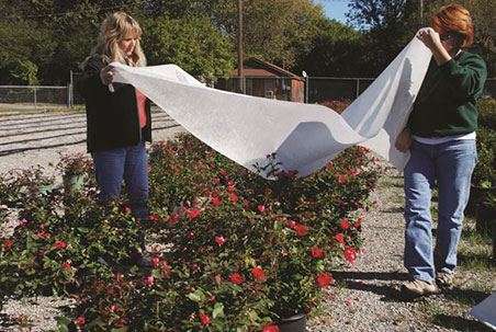 Dewitt Deluxe Plant Protection Fabric (6’x50′ folded to 3′ 24Pk (.55oz) - DELUXE650)