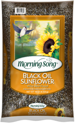 SUNFLOWER SEED OIL BLACK MS 3/10 LB