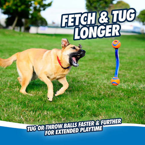 Chuckit! Ultra Duo Tug Dog Toy