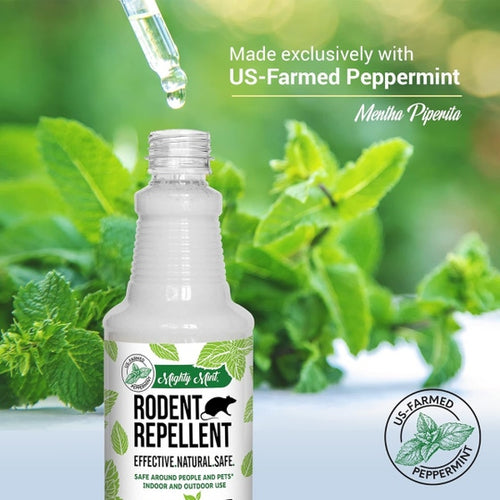 Mighty Mint Peppermint Oil Rodent Repellent Spray