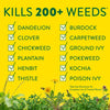 Preen Lawn Weed Control