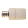 Apollo 1/2″ CPVC CTS Slip x 1/2″ PEX-B Adapter
