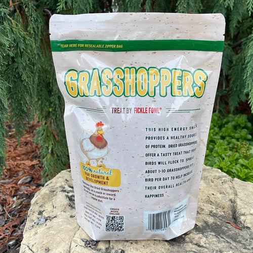 Buffalo Dried Grasshoppers Treat