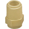 Charlotte Pipe 1/2 In. Male Thread to CPVC Adapter (10-Pack)